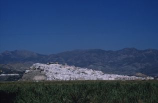 1915.jpg