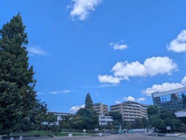 2230.jpg
